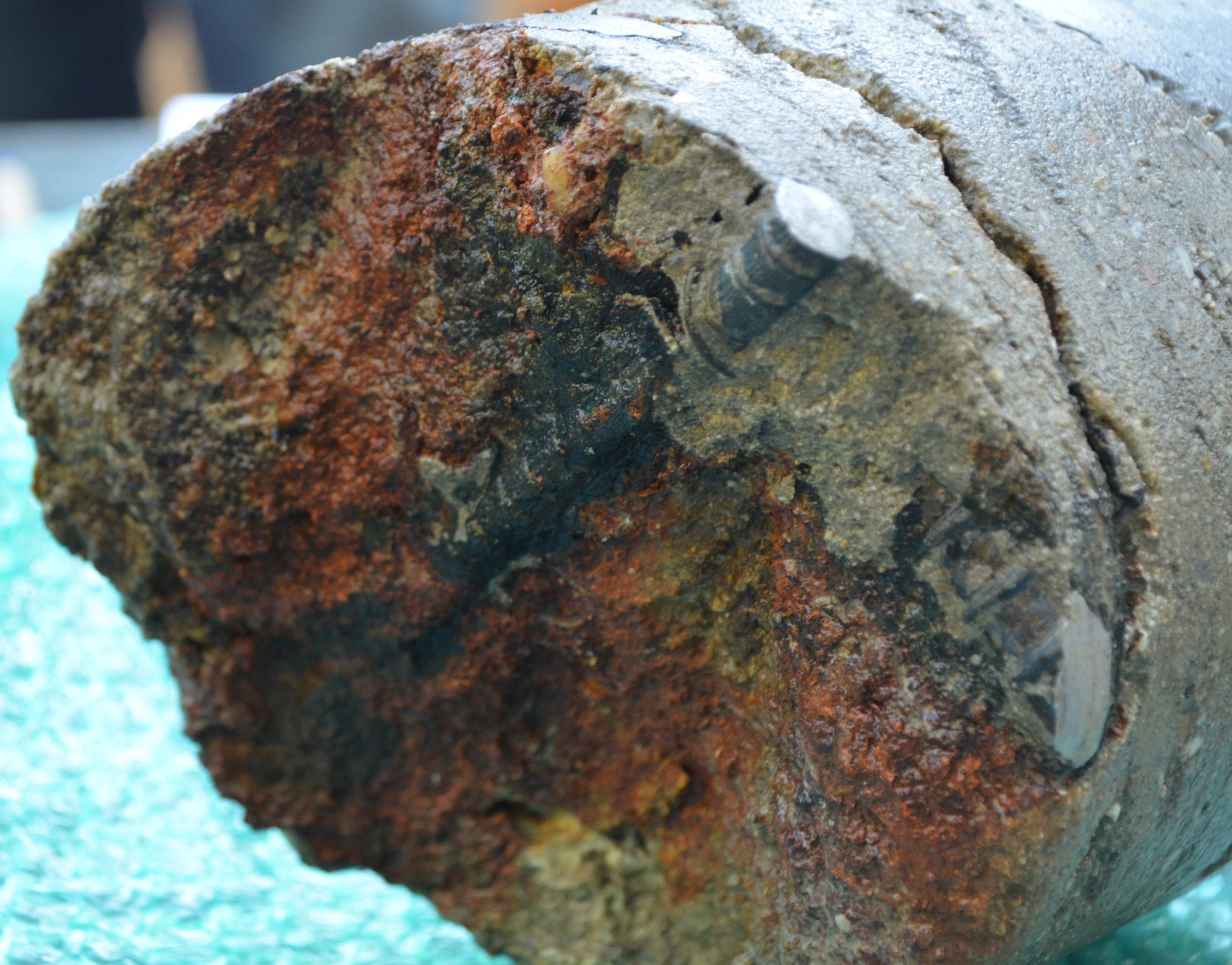 Site Investigation & Forensics