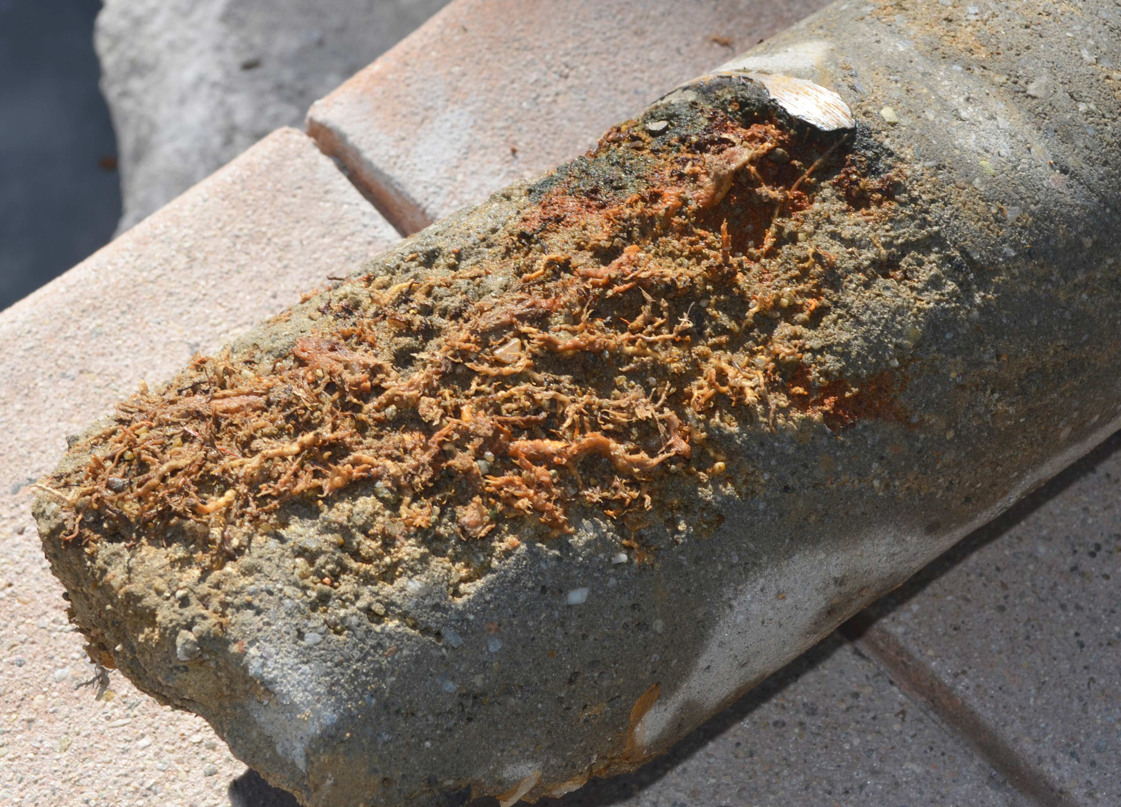 Site Investigation & Forensics