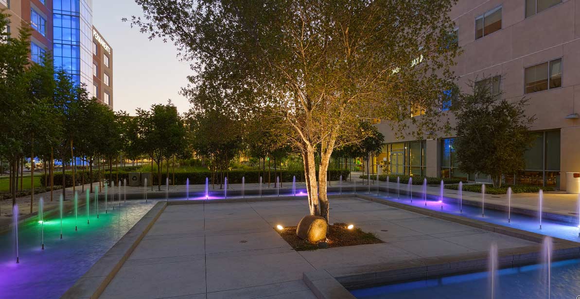 Healthcare facility water feature with tree in center