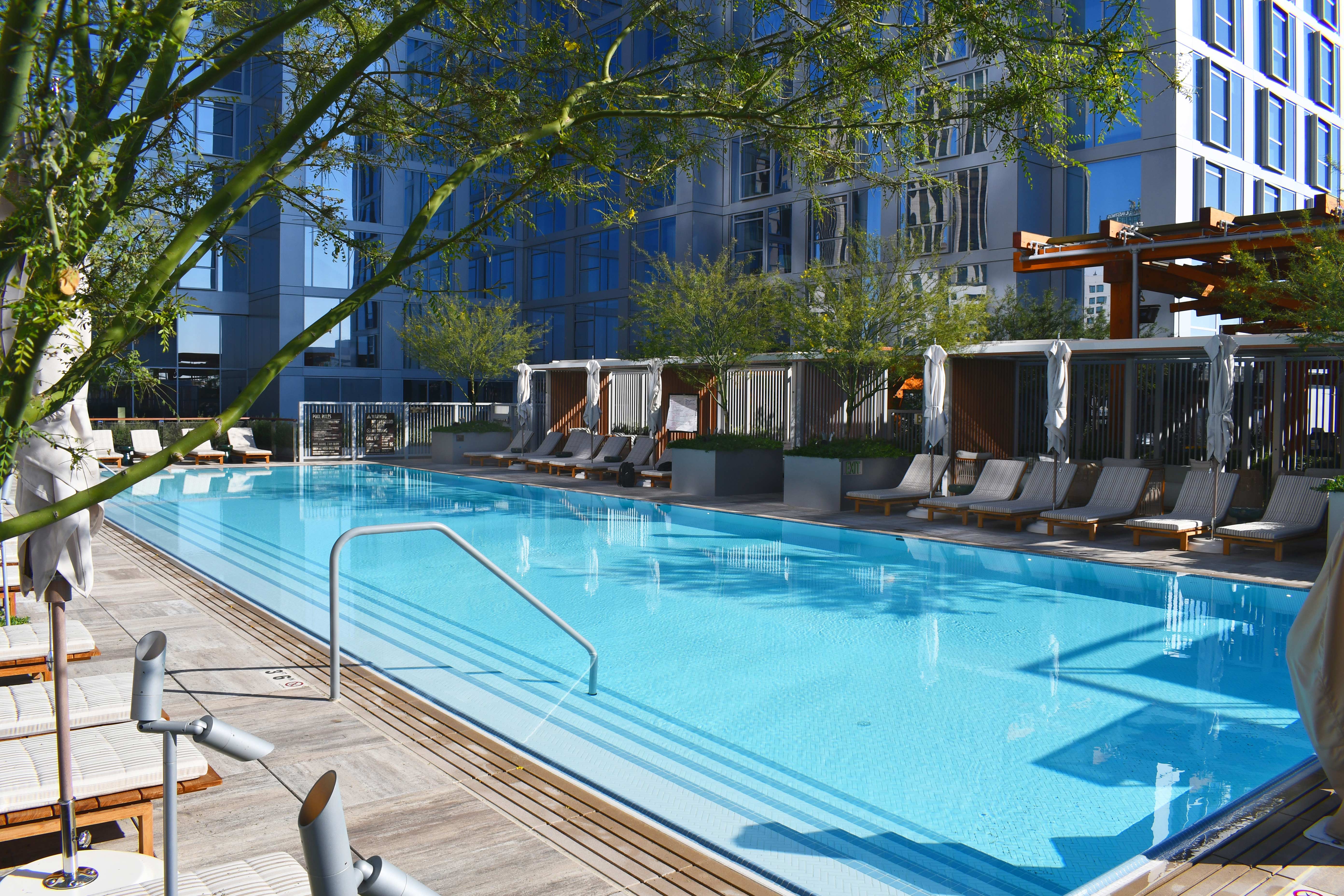 Hospitaltiy and Resort Pool and Tress